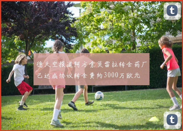 德天空报道阿方索莫雷拉转会药厂已达成协议转会费约3000万欧元